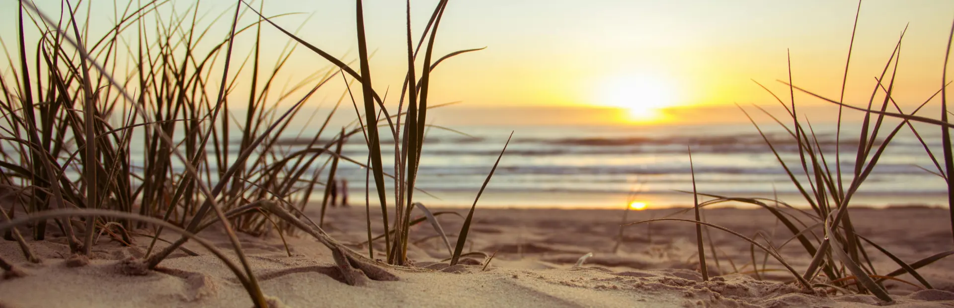Duin, zand en strand