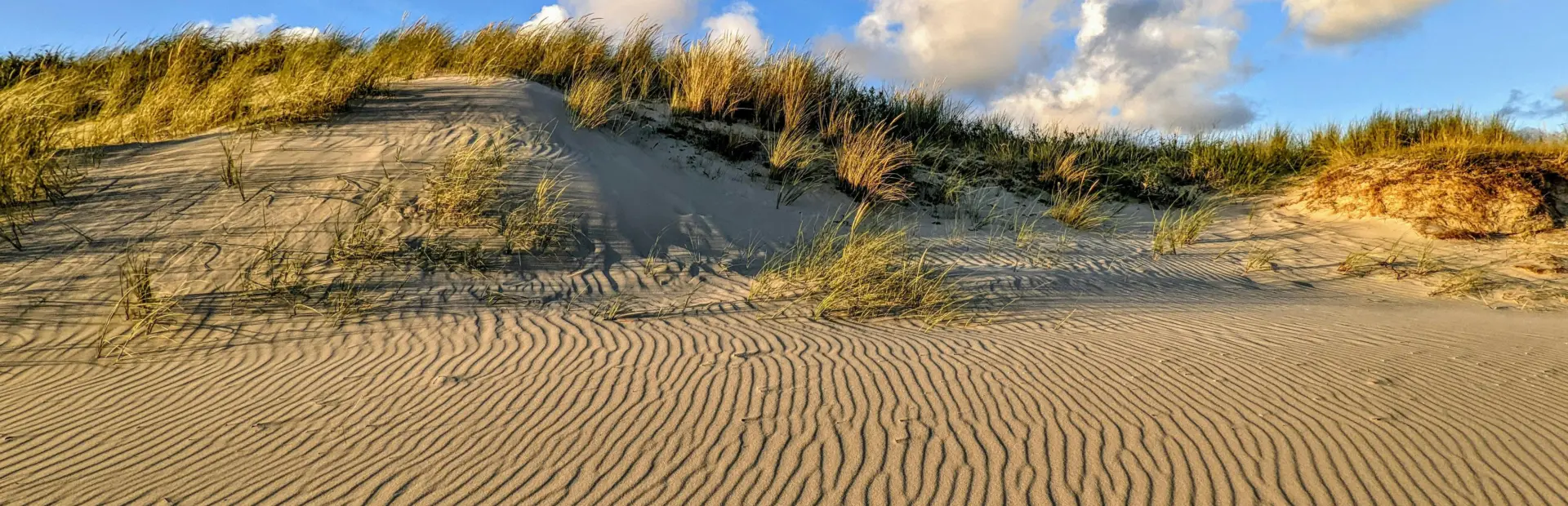 Strand zon zand