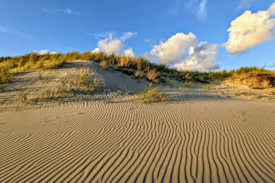 Strand zon zand